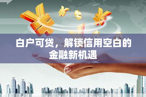 伊犁哈萨克白户可贷，解锁信用空白的金融新机遇