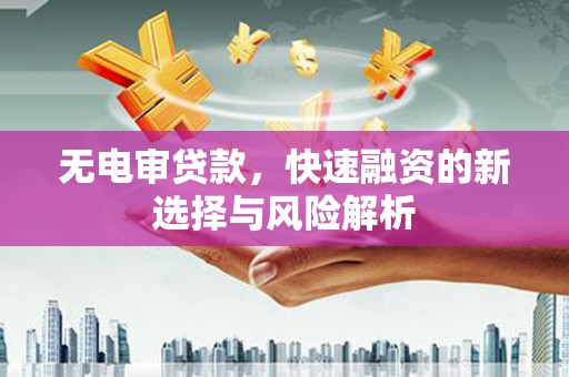 庐阳无电审贷款，快速融资的新选择与风险解析