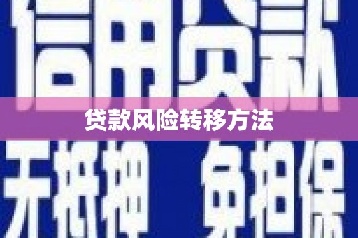 镜湖贷款风险转移方法