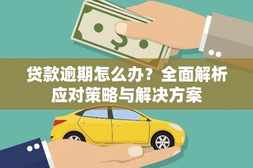 沈丘贷款逾期怎么办？全面解析应对策略与解决方案