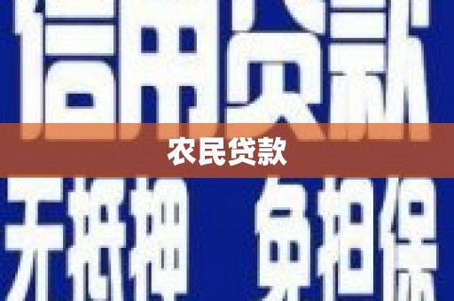 望牛墩农民贷款