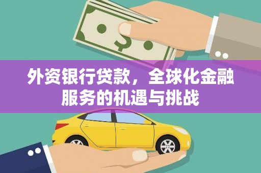 紫阳外资银行贷款，全球化金融服务的机遇与挑战