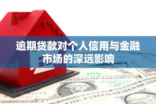 瑞昌逾期贷款对个人信用与金融市场的深远影响
