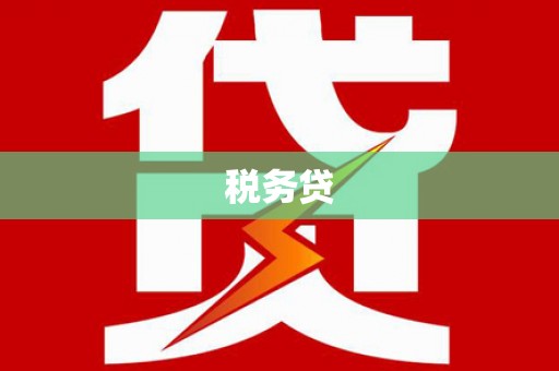 南充税务贷