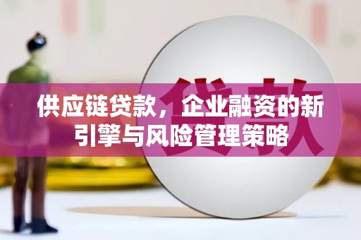 宁夏供应链贷款，企业融资的新引擎与风险管理策略