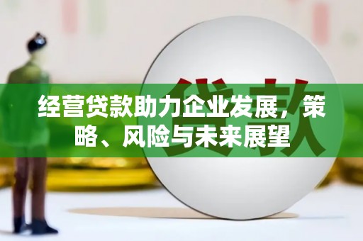 双溪经营贷款助力企业发展，策略、风险与未来展望