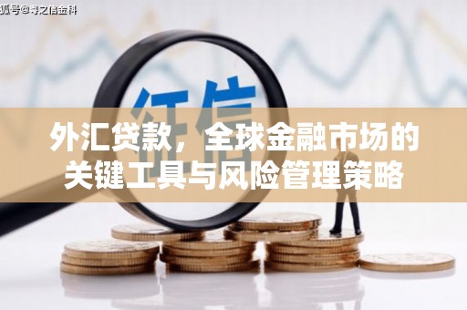 河池外汇贷款，全球金融市场的关键工具与风险管理策略