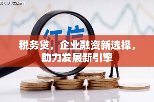 隆回税务贷，企业融资新选择，助力发展新引擎
