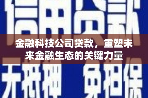 南州金融科技公司贷款，重塑未来金融生态的关键力量