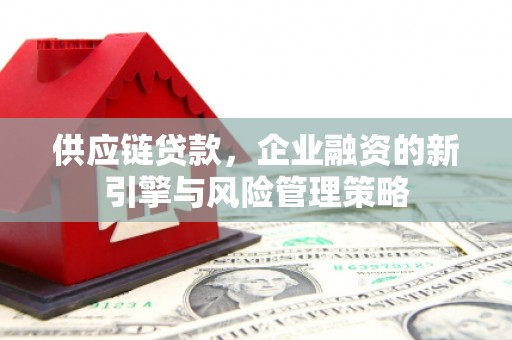 红寺堡供应链贷款，企业融资的新引擎与风险管理策略