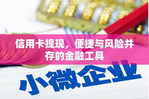 海曙信用卡提现，便捷与风险并存的金融工具