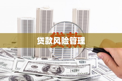 高安贷款风险管理