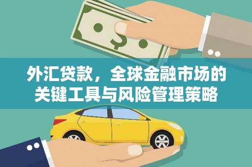 天水外汇贷款，全球金融市场的关键工具与风险管理策略