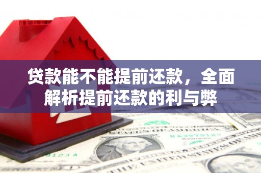 常平贷款能不能提前还款，全面解析提前还款的利与弊