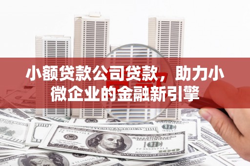 新港小额贷款公司贷款，助力小微企业的金融新引擎