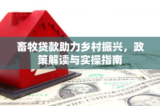冷水江畜牧贷款助力乡村振兴，政策解读与实操指南