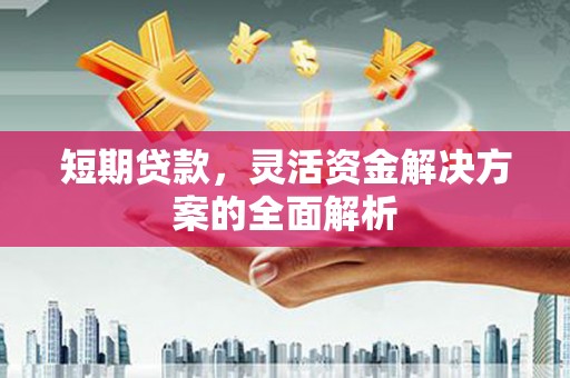 镇远短期贷款，灵活资金解决方案的全面解析