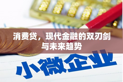 冈山消费贷，现代金融的双刃剑与未来趋势