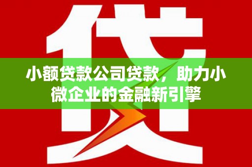 广饶小额贷款公司贷款，助力小微企业的金融新引擎