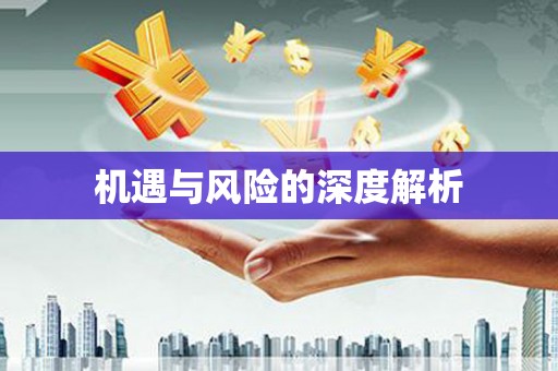 徽州机遇与风险的深度解析