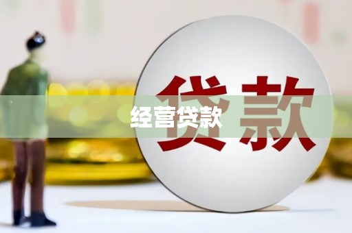 尼勒克经营贷款