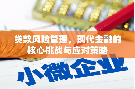 刚察贷款风险管理，现代金融的核心挑战与应对策略