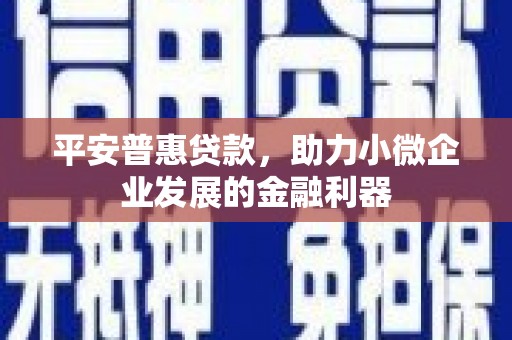 西城平安普惠贷款，助力小微企业发展的金融利器