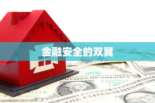 定西金融安全的双翼