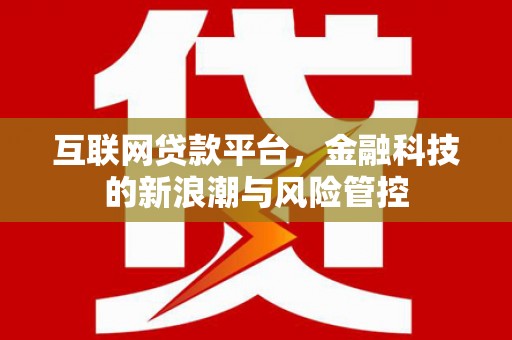 大内互联网贷款平台，金融科技的新浪潮与风险管控