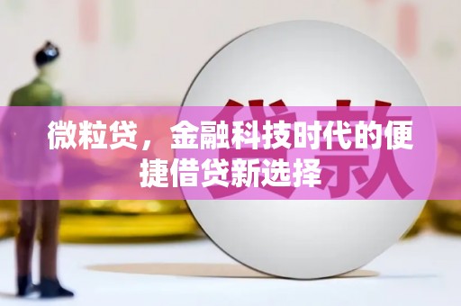 屯留微粒贷，金融科技时代的便捷借贷新选择