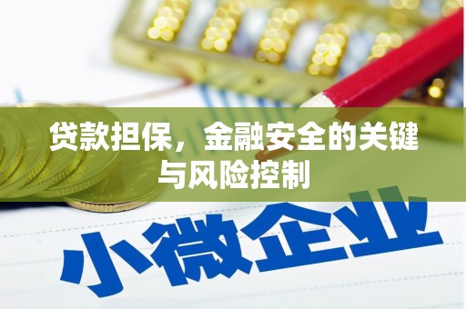 鸡泽贷款担保，金融安全的关键与风险控制