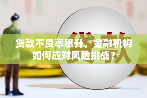 通道贷款不良率攀升，金融机构如何应对风险挑战？
