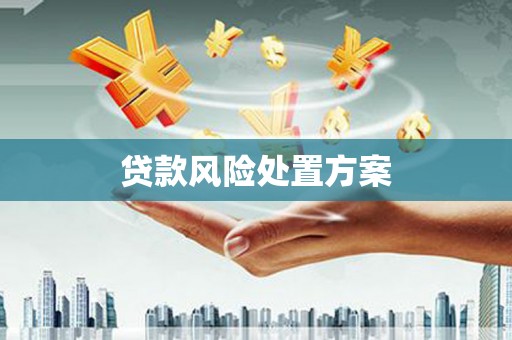 花莲贷款风险处置方案