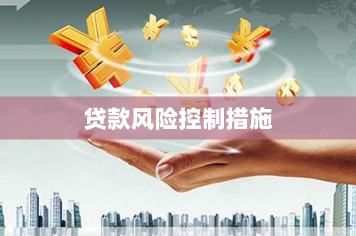 南安贷款风险控制措施