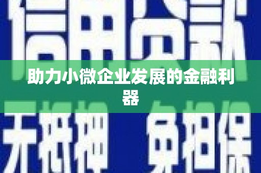 和田市助力小微企业发展的金融利器