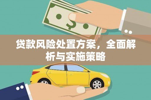 仑背贷款风险处置方案，全面解析与实施策略