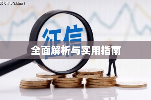 岭东全面解析与实用指南