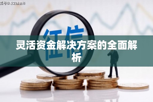 犍为灵活资金解决方案的全面解析