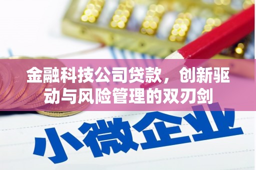 兴宾金融科技公司贷款，创新驱动与风险管理的双刃剑