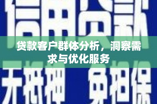 靖西贷款客户群体分析，洞察需求与优化服务